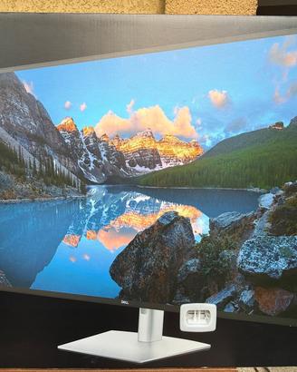 Monitor Dell 43”