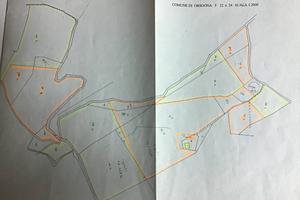 terreni agricoli