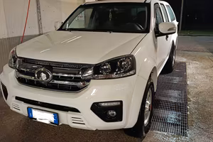 GREAT Wall my2021
