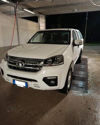 GREAT Wall my2021