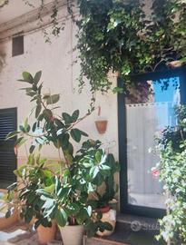 Centro storico Ostuni ( BR)