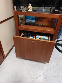 mobile porta tv