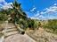 Immagine 29