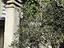 Immagine 10