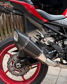 Terminale z900