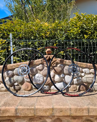 Ruote DT Swiss 29 Boost con dischi freno Shimano