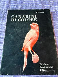 Canarini di colore