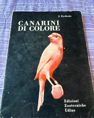 Canarini di colore