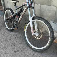 Bici da downhill