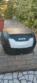 Bauletto Shad SH40