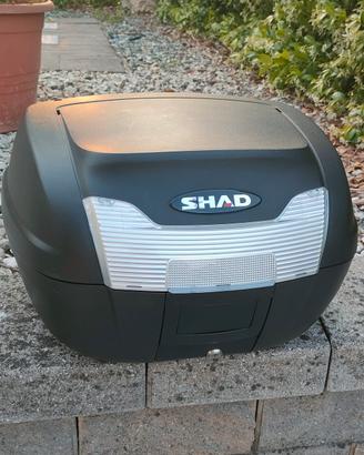 Bauletto Shad SH40