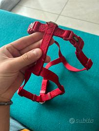 Pettorina ad H TRIXIE