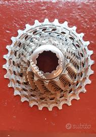 pacco pignoni sram Red 11v