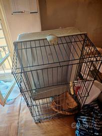 gabbia congili porcellino d'india 