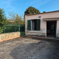 In zona urbana, fronte strada, rustico con servizi