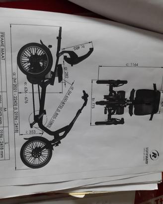 Bicicletta triciclo elettrico pedalata per adulti