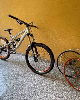 rose soulfire 2015 + 3 cerchi