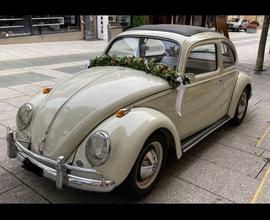VOLKSWAGEN Maggiolino - 1963