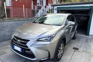 NX 300h 2.5 Executive 4wd Hybrid 197 cv