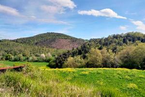 Area verde a Amelia