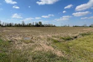 Immobile in asta di 12410 m² a Annicco