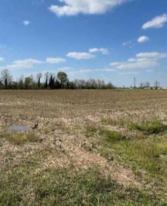 Immobile in asta di 12410 m² a Annicco