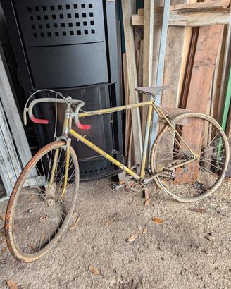 bicicletta 