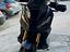 Immagine 4