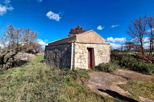 Terreno agricolo a Noci