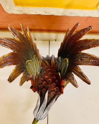 Da esposizione CONDOR dipinto a mano