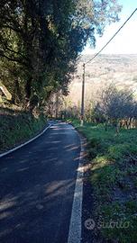 Terreno con ruderino