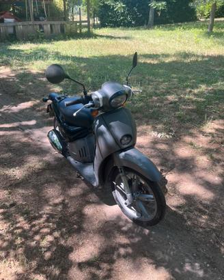 Scarabeo 50