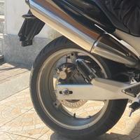 Terminale honda hornet