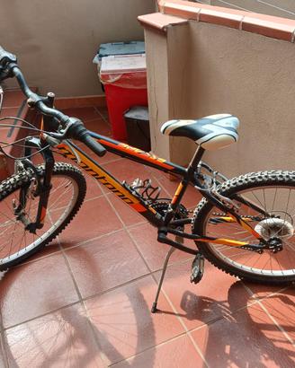 Mountain bike Montana "24