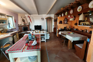 Capannone con abitazione e uffici