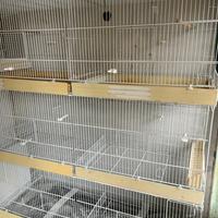 Gabbie per uccelli da 120 cm