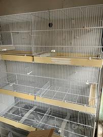 Gabbie per uccelli da 120 cm