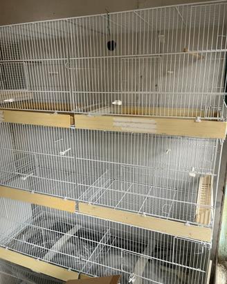 Gabbie per uccelli da 120 cm