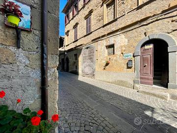 3 LOCALI A GROTTE DI CASTRO