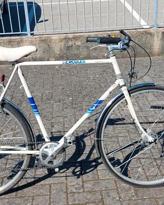 bicicletta da 28 pollici 