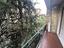 Immagine 17