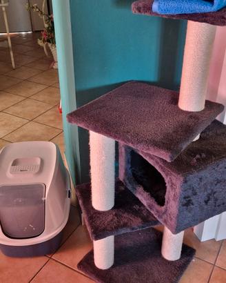 accessori per gatto