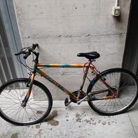 Bicicletta Mountain bike