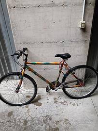 Bicicletta Mountain bike