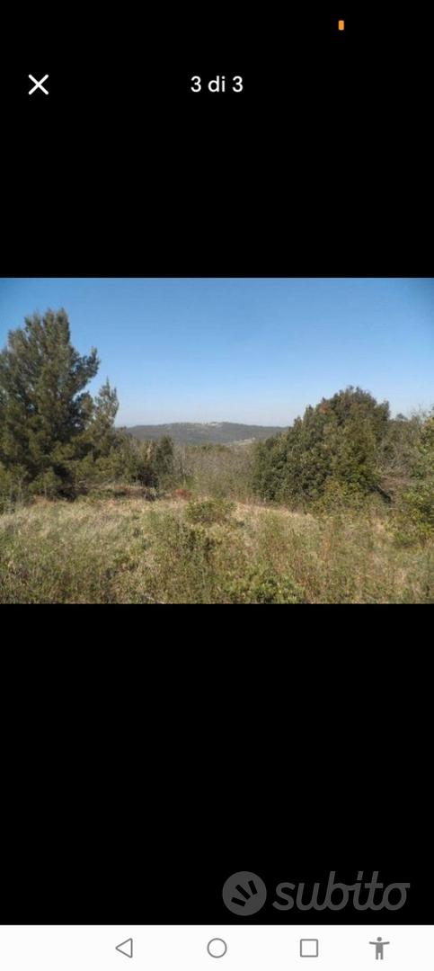 Terreno val di chioma nibbiaia - Vista 3