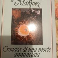 libro cronaca di una morte annunciata