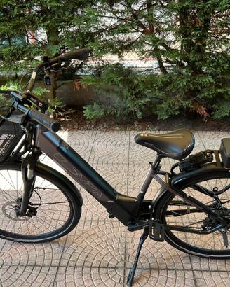 Bici elettrica