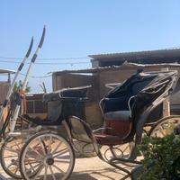 Carrozza
