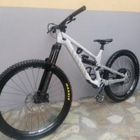 CANYON SPECTRAL MULLET 2023