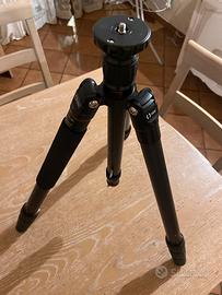 Treppiede in fibra di carbonio Take+testa fluida